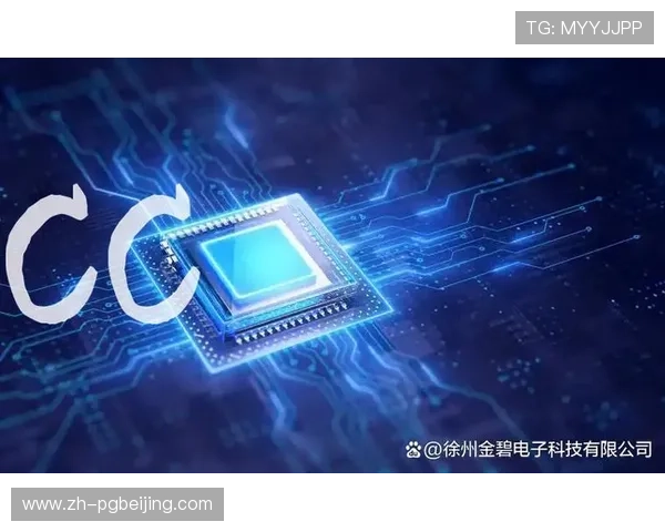 PG电子平台不凡成就非凡，丰富游戏内容满足不同玩家需求引领行业发展新方向